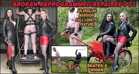 Poster: Broken Reprogrammed Repaired Pt2 Poster: Broken Reprogrammed Repaired Pt2